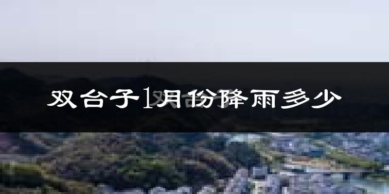 双台子1月份降雨多少?