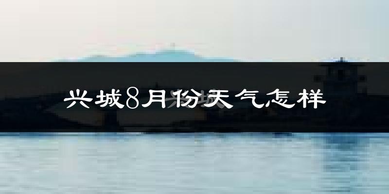 兴城市8月份天气如何?很热吗?