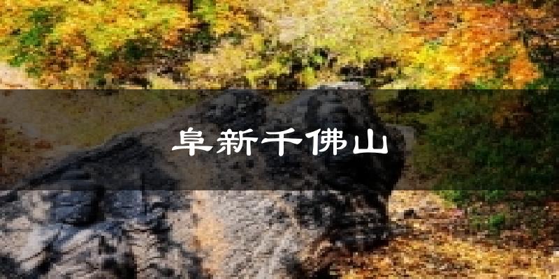 阜新千佛山气温