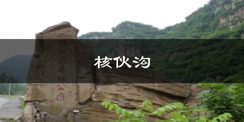 核伙沟天气预报十五天