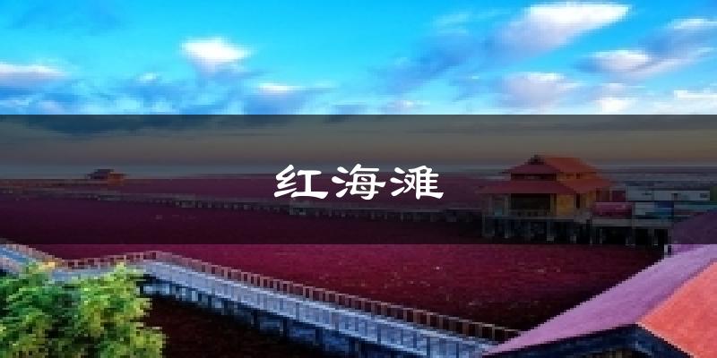 红海滩气温
