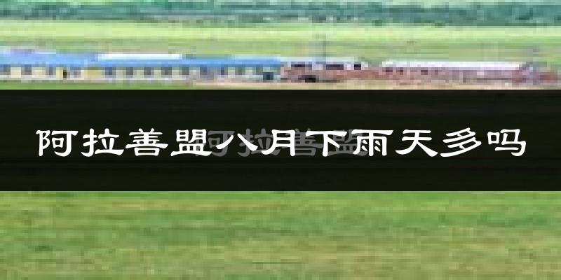 阿拉善盟八月下雨天多吗?阿拉善盟8月份降雨量多少?