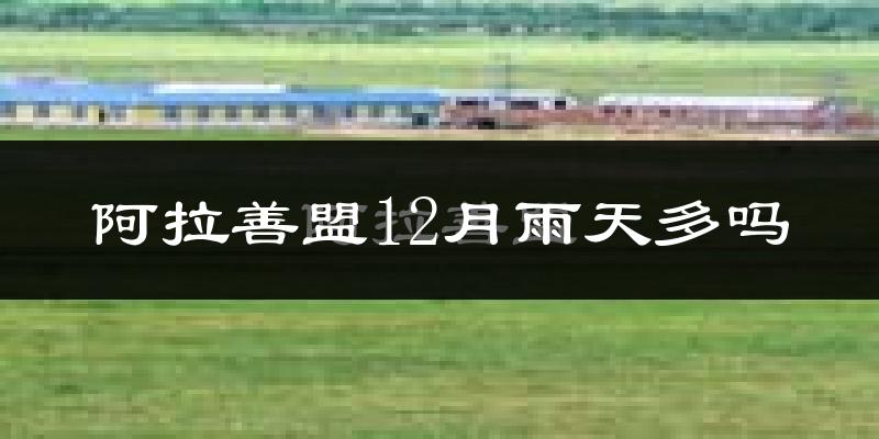 阿拉善盟12月雨天多吗?