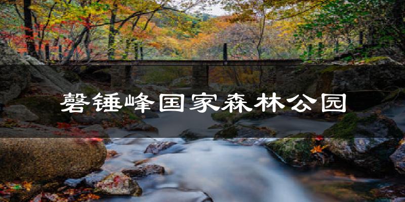 磬锤峰国家森林公园天气预报十五天