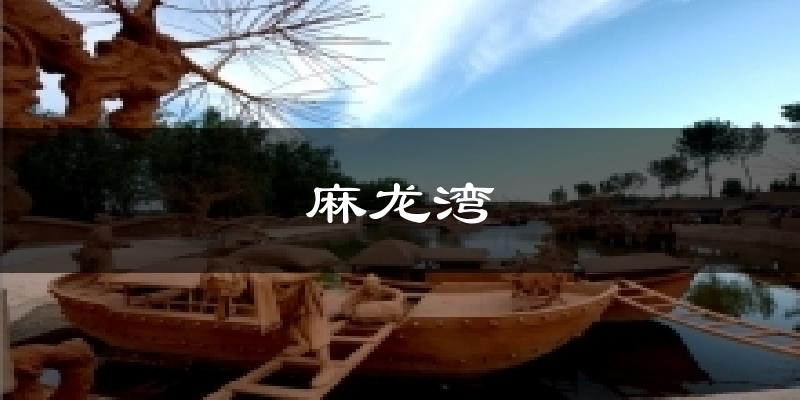 麻龙湾天气预报十五天