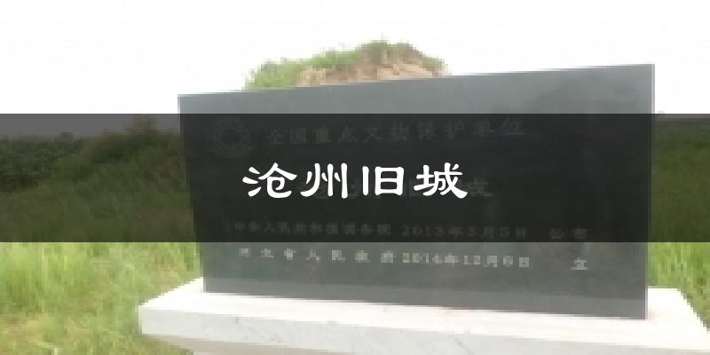 沧州旧城天气预报十五天