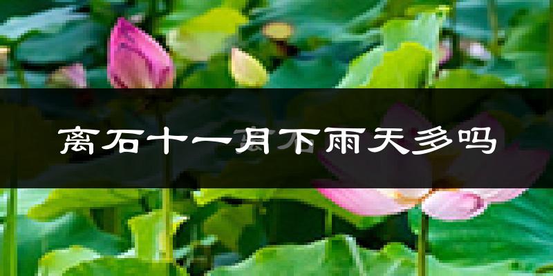 离石十一月下雨天多吗?离石11月份降雨量多少?