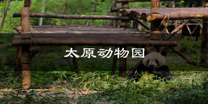 太原动物园天气预报十五天