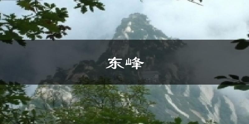 东峰天气预报十五天