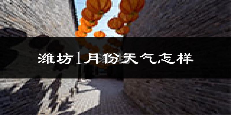 潍坊市1月份天气如何?很冷吗?