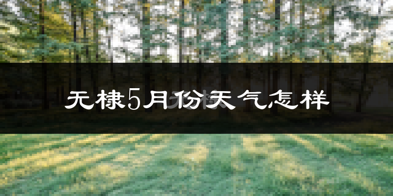 无棣县5月份天气如何?很热吗?