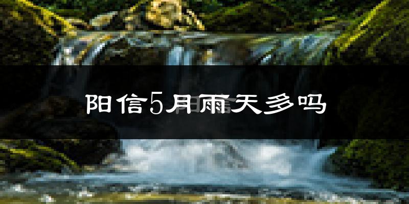 阳信5月雨天多吗?