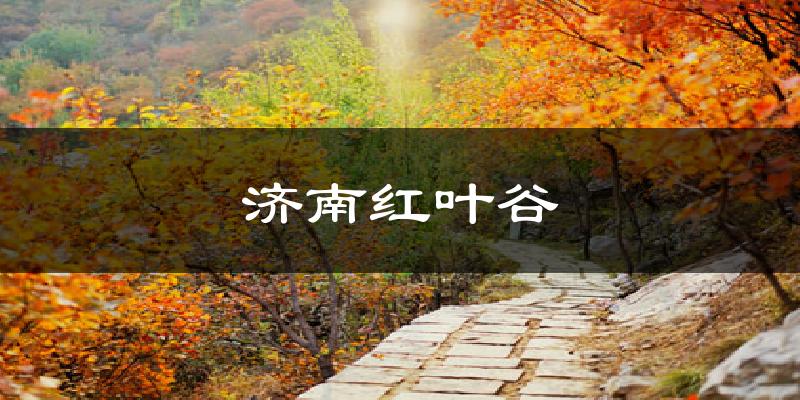 济南红叶谷天气预报十五天