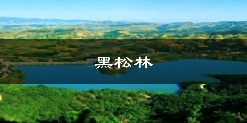 黑松林天气预报十五天