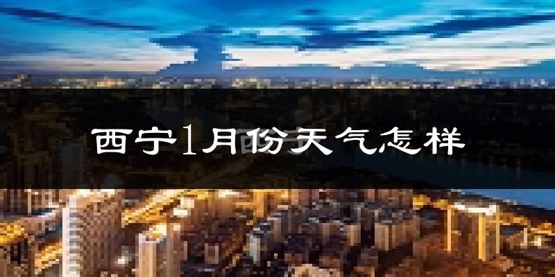 西宁1月份天气如何?很冷吗?