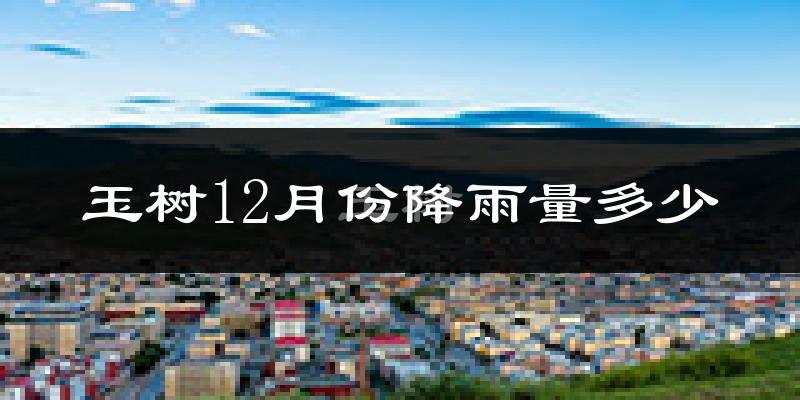 玉树12月份降雨量多少?玉树十二月下雨多吗?