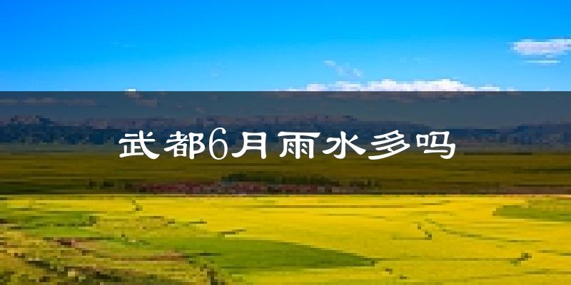 武都6月雨水多吗?