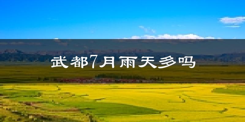 武都7月雨天多吗?