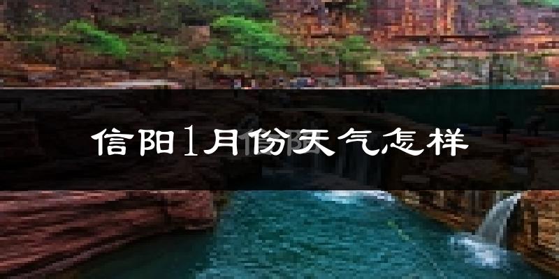 信阳市1月份天气如何?很冷吗?