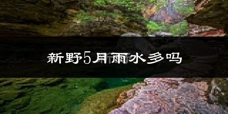 新野5月雨水多吗?