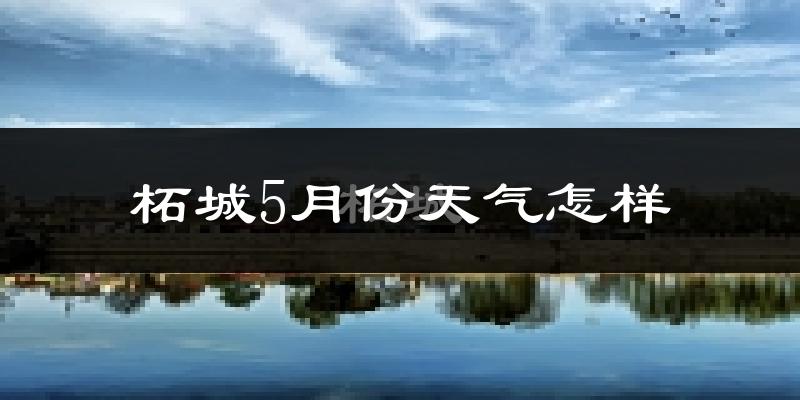 柘城县5月份天气如何?很热吗?
