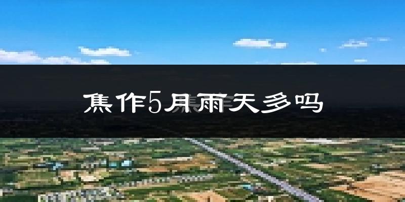 焦作5月雨天多吗?