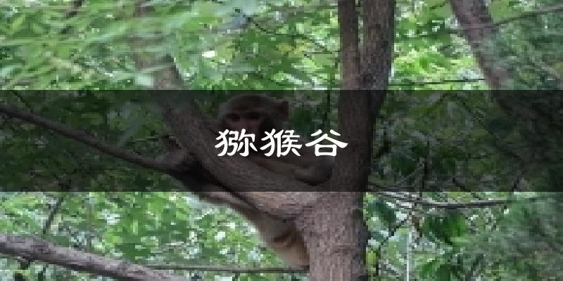 猕猴谷天气预报十五天