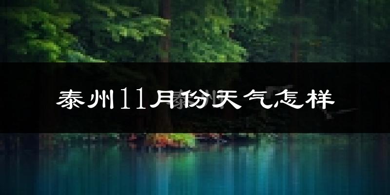 泰州11月份天气怎样?泰州十一月冷不冷?