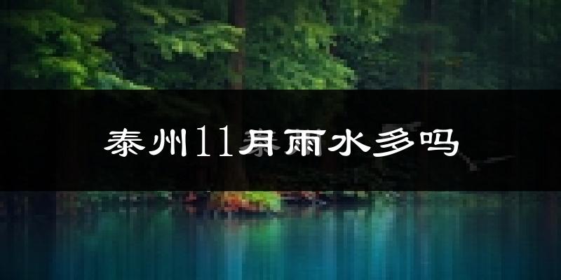 泰州11月雨水多吗?