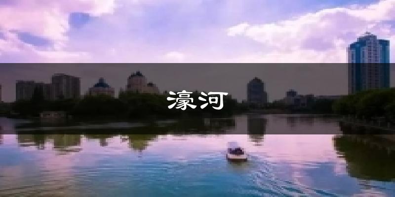 濠河天气预报十五天