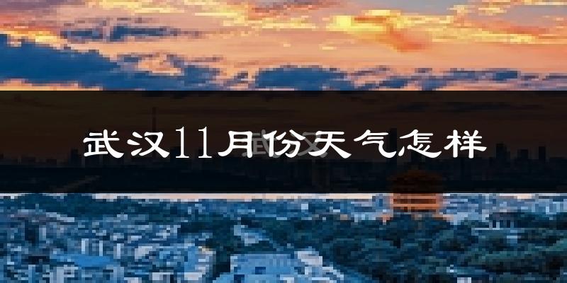 武汉11月份天气怎样?武汉十一月冷不冷?