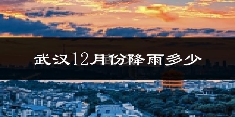 武汉12月份降雨多少?