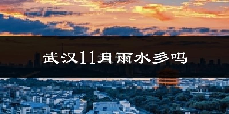 武汉11月雨水多吗?