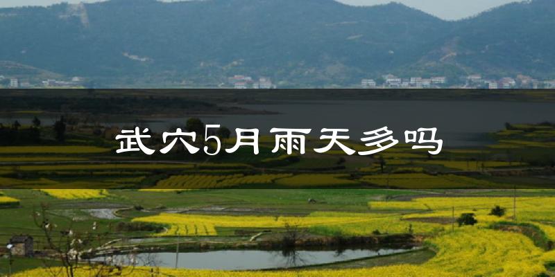 武穴5月雨天多吗?