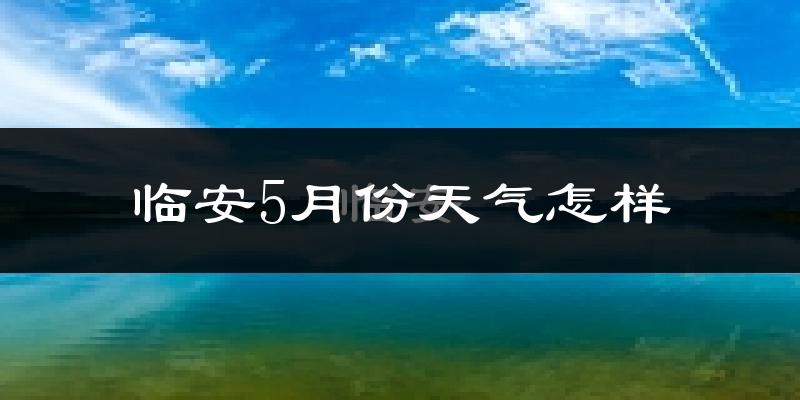 临安5月份天气如何?很热吗?
