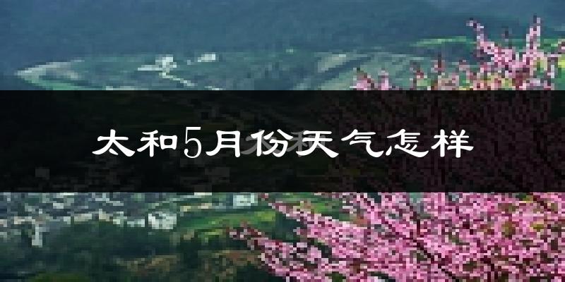 太和县5月份天气如何?很热吗?
