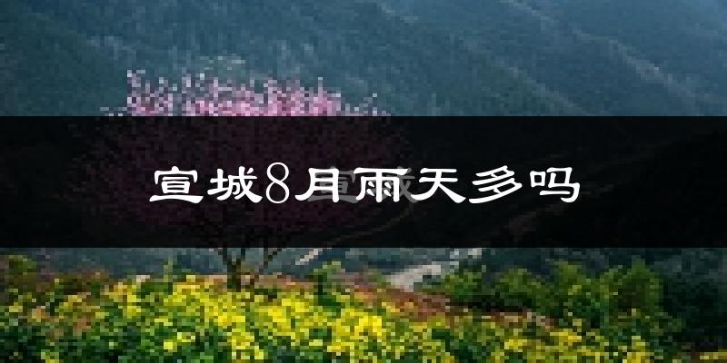 宣城8月雨天多吗?