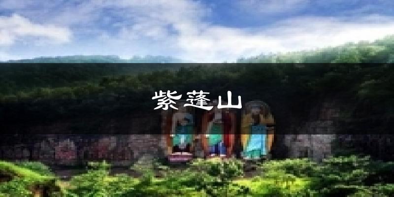 紫蓬山天气预报十五天