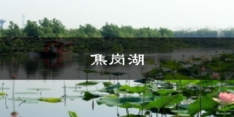 焦岗湖天气预报十五天