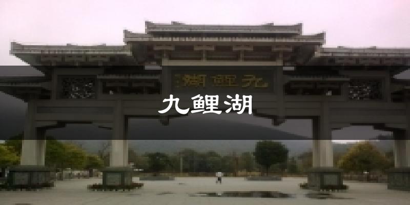 九鲤湖天气预报十五天