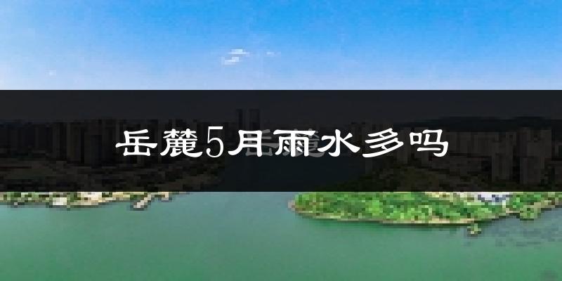 岳麓5月雨水多吗?