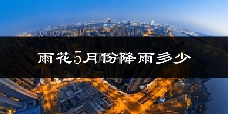 雨花5月份降雨多少?