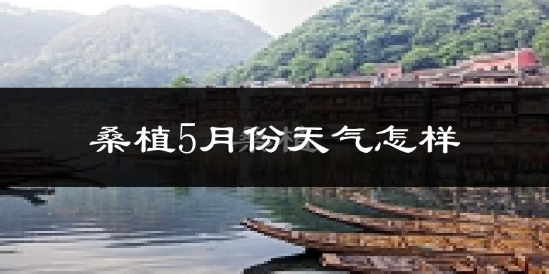 桑植县5月份天气如何?很热吗?