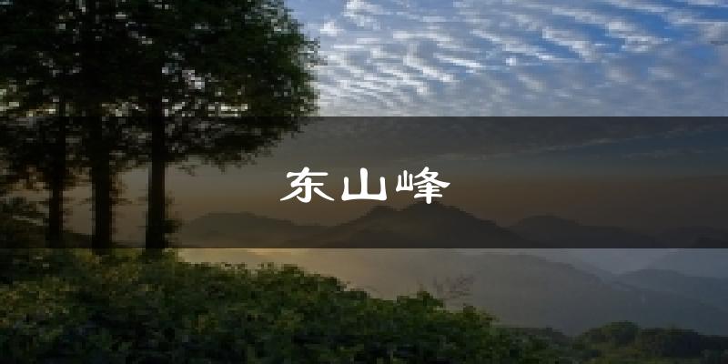 东山峰天气预报十五天
