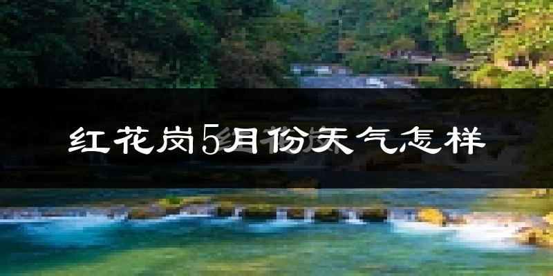 红花岗5月份天气怎样?红花岗五月冷不冷?