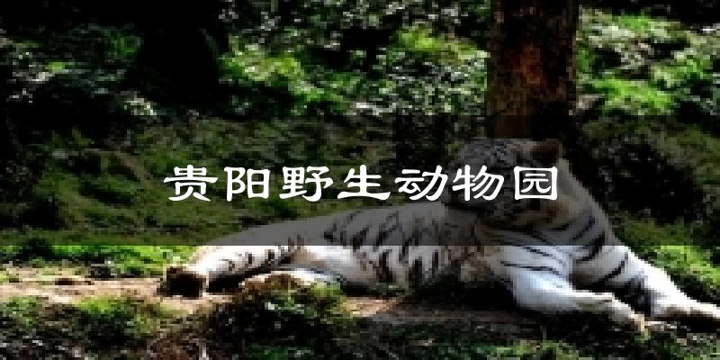 贵阳野生动物园天气预报十五天