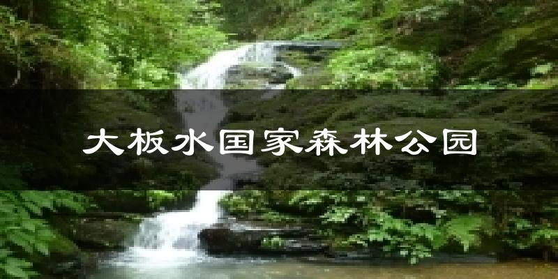 大板水国家森林公园天气预报十五天