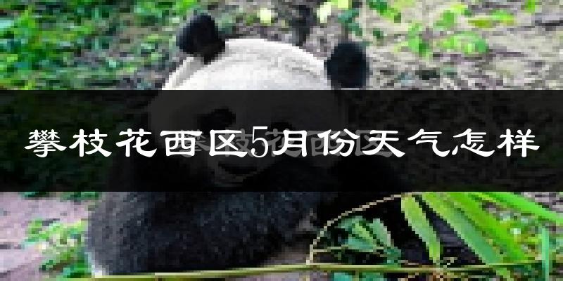 攀枝花西区5月份天气怎样?攀枝花西区五月冷不冷?