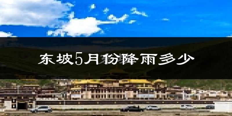 东坡5月份降雨多少?