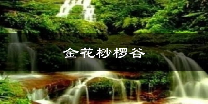 金花桫椤谷天气预报十五天